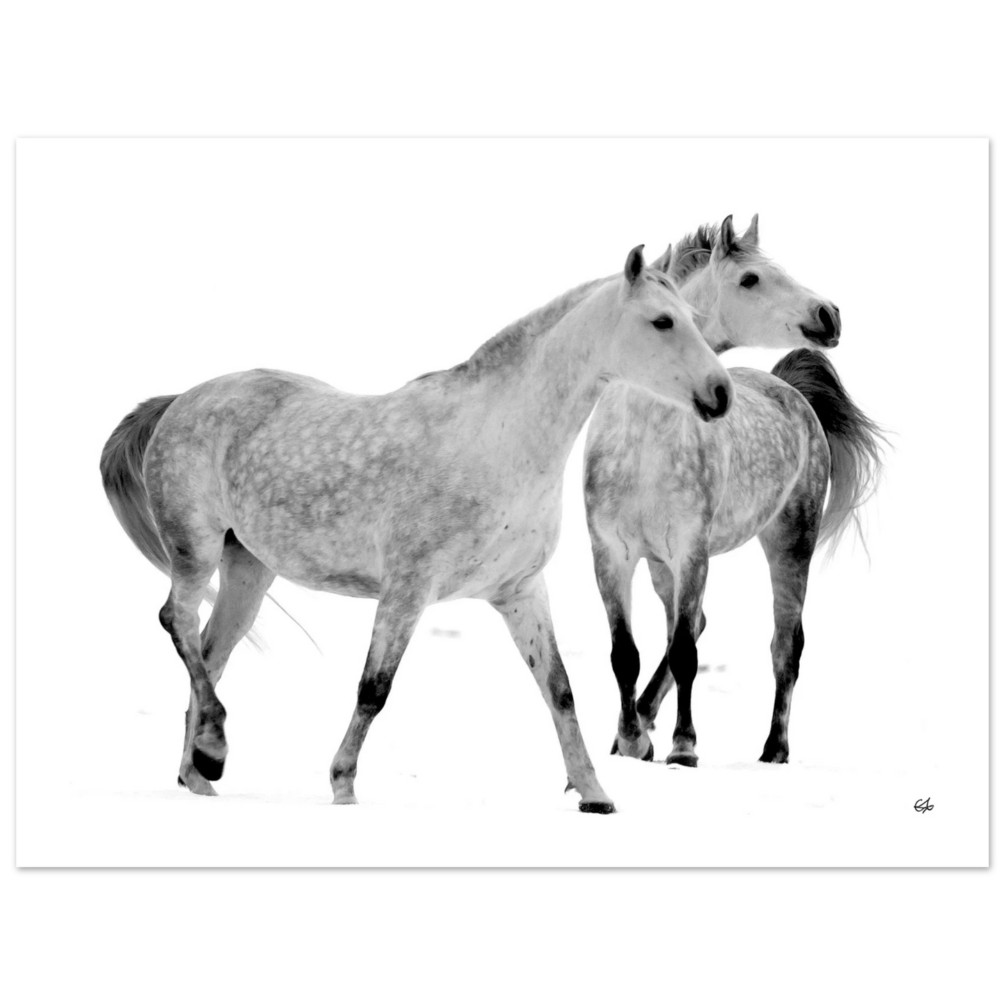 2f643816-5df6-43c0-8d32-bc0471cb30b7