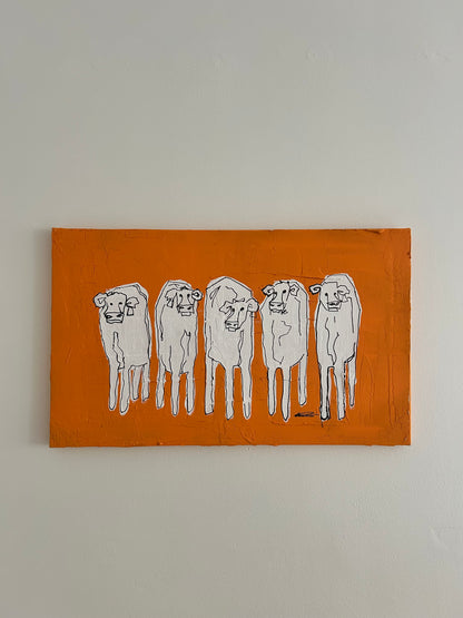 Orange Kotavla