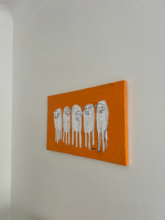 Orange Kotavla