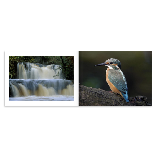 bae34cd6-0adc-4f29-9f1b-ee7ff1c792e7